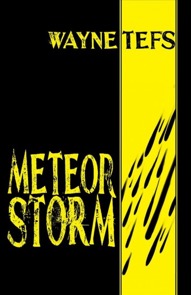 Meteor storm : short fiction / by Wayne Tefs.