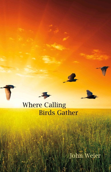 Where calling birds gather / by John Weier.