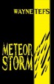 Meteor storm : short fiction  Cover Image