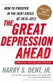 The great depression ahead : how to prosper in the debt crisis of 2010-2012  Cover Image