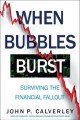 When bubbles burst : surviving the financial fallout  Cover Image